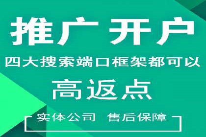 某公司通过竞价SEM优化搜索引擎排名案例